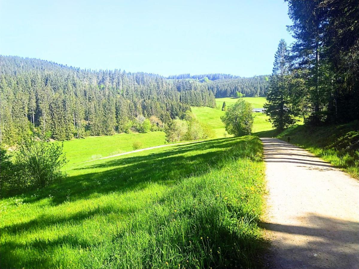 Romantic Style Apartment Titisee-Neustadt Bagian luar foto