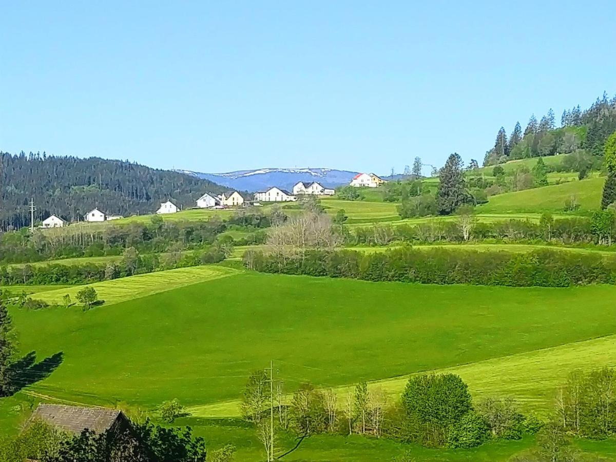 Romantic Style Apartment Titisee-Neustadt Bagian luar foto