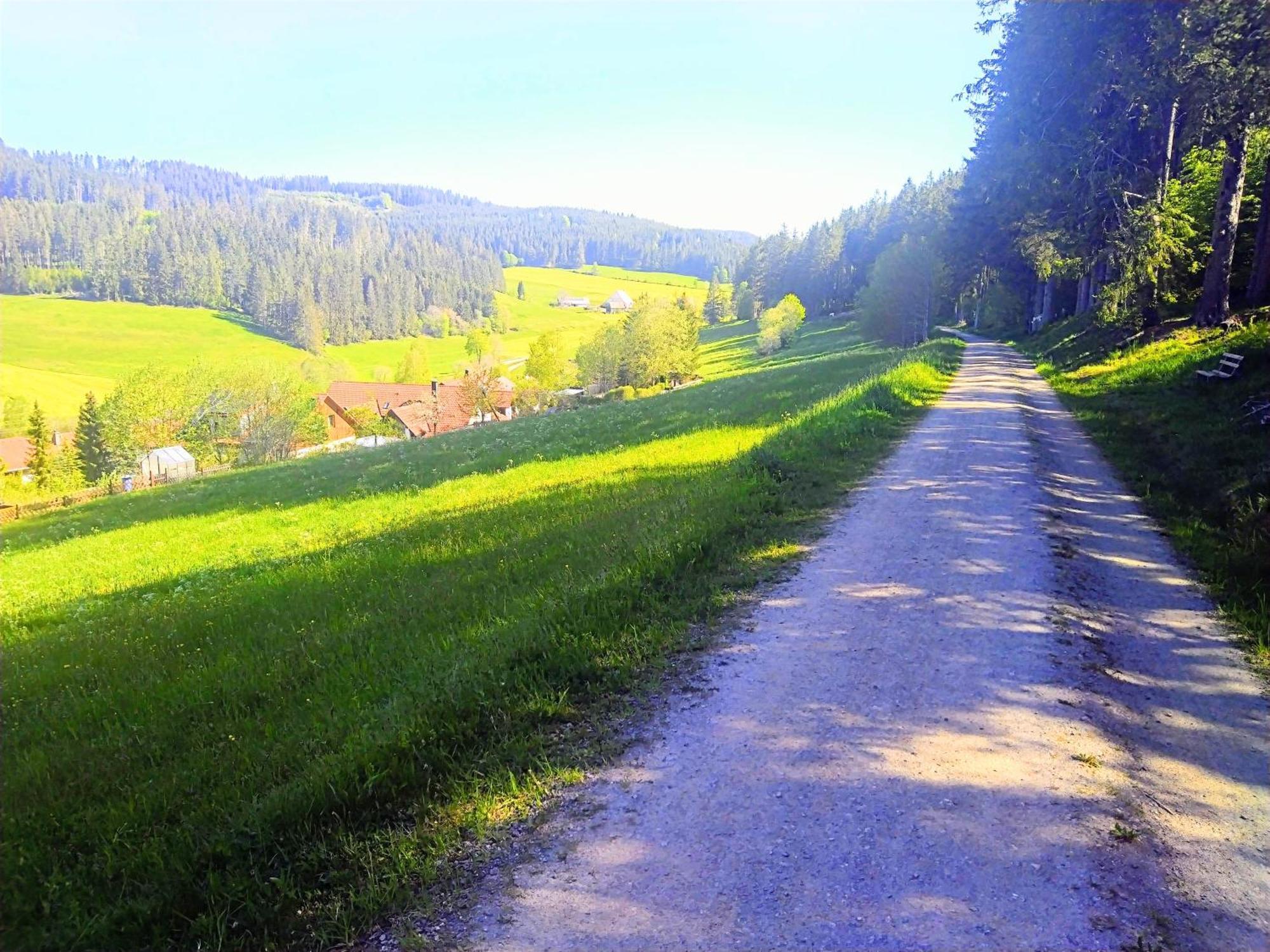 Romantic Style Apartment Titisee-Neustadt Bagian luar foto